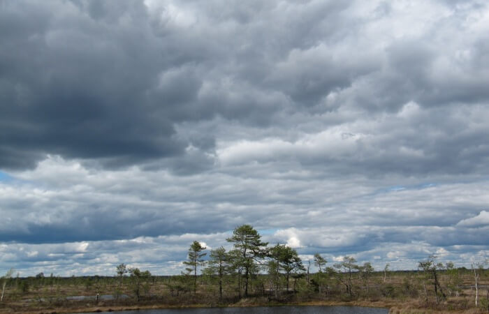 Soomaa National Park