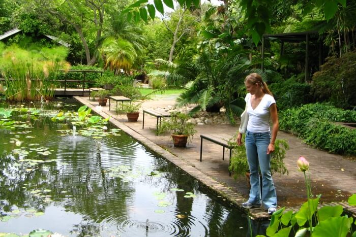 Stellenbosch University Botanical Garden