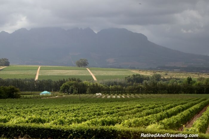 Stellenbosch Walking Tour