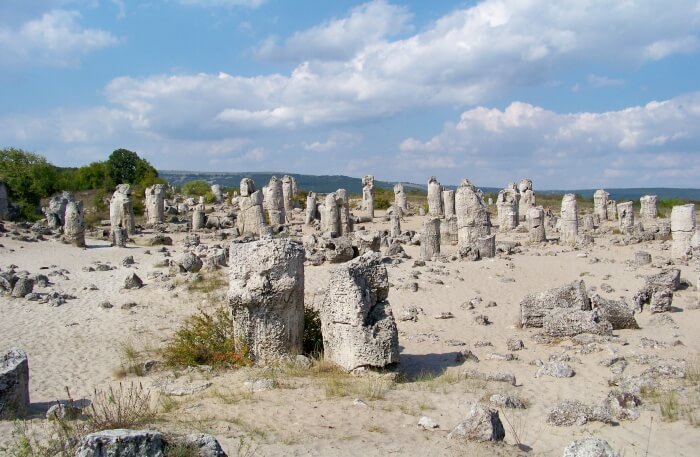 Stone Forest
