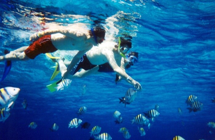 Take a Snorkeling Tour