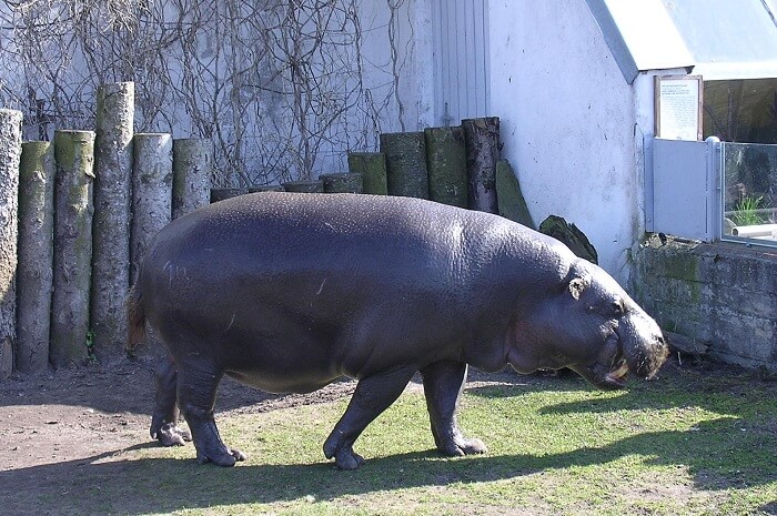 Tallinn Zoo