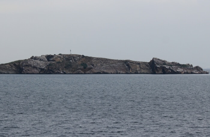 Tavsan Adasi