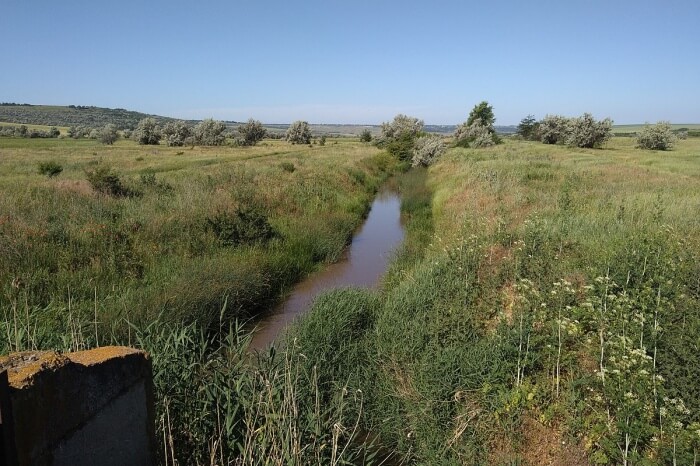 The Cogîlnic River