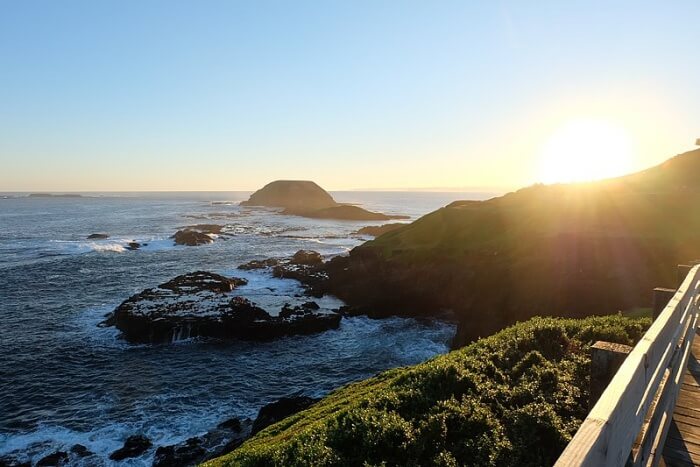 The Phillip Island