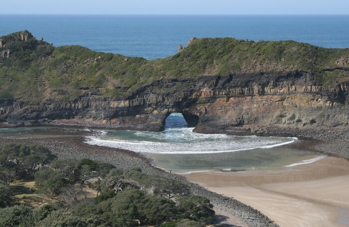 The Wild Coast