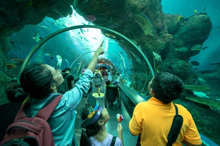 Things to do in Singapore