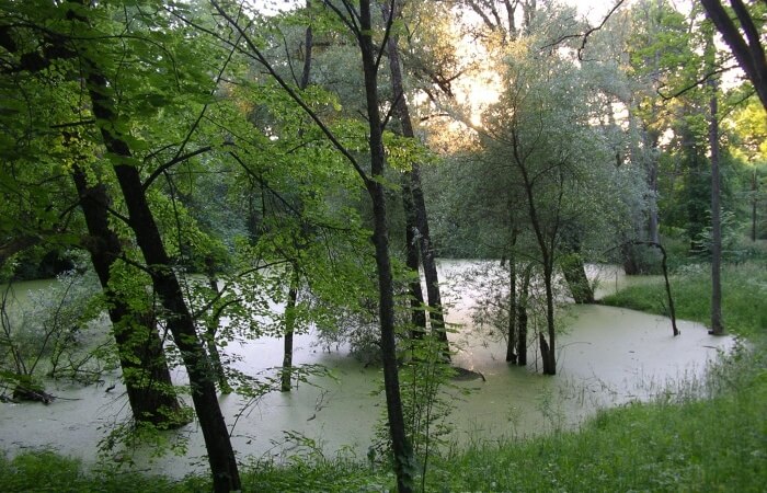 Tulkiarage Nature Path