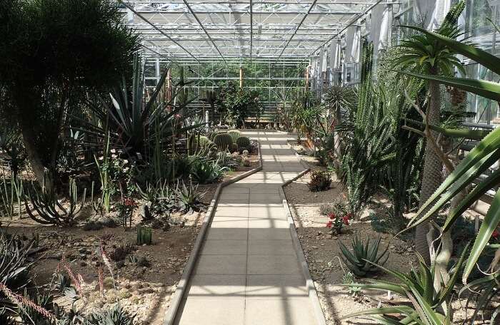 Botanical garden