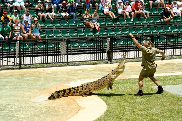 Visit Australian Zoo