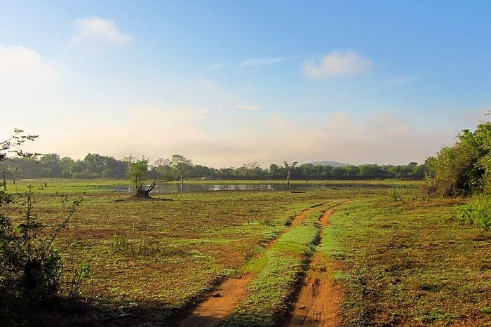 Wasgamuwa National Park