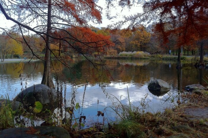 West Park