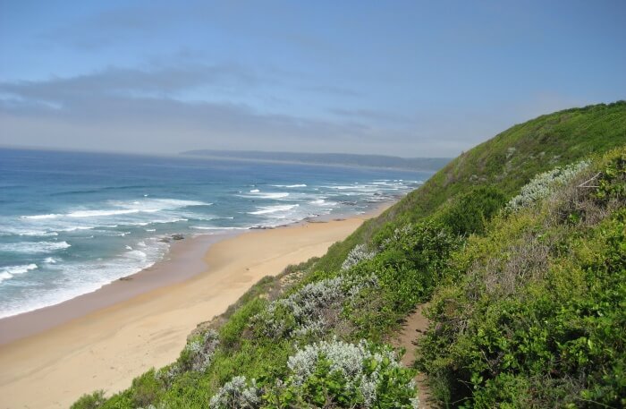 Wilderness Beach View