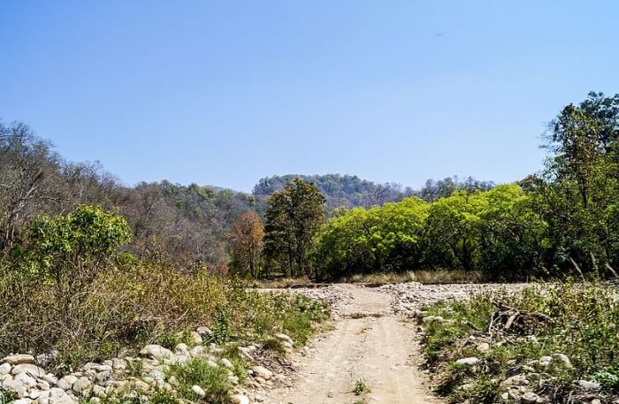 Wilderness National Park in George