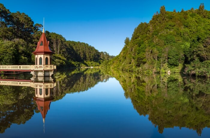 View of the Zealandia EcoSanctuary