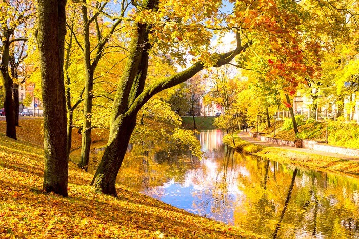 Autumn in Latvia