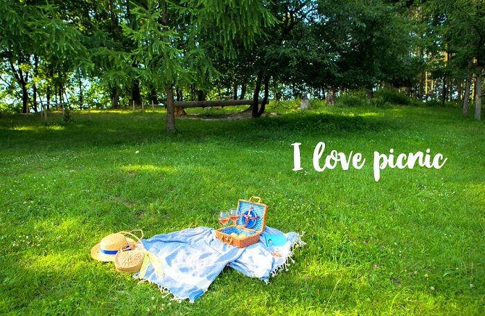 A view of a picnic setting in a garden