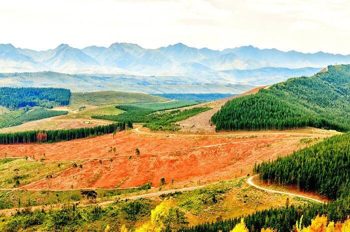Best Places To Visit In George