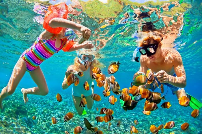 family snorkeling underneath water