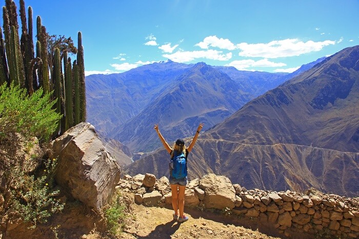 Magnificent Colca Canyon In Peru