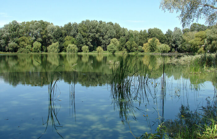 lake