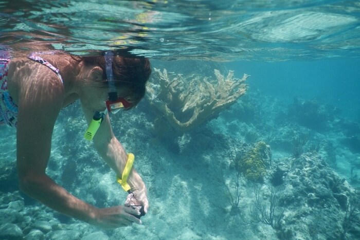 snorkeling