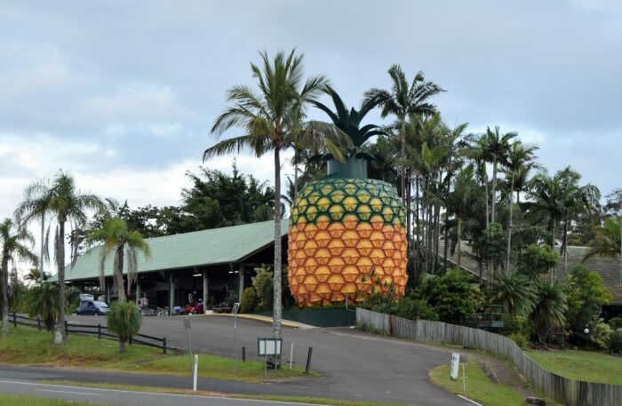 Big Pineapple