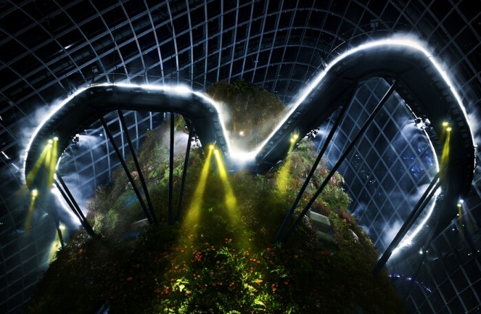 Cloud Forest