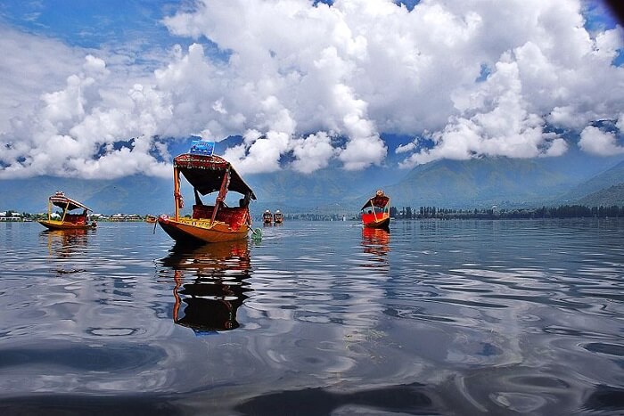 shikara on dal lake