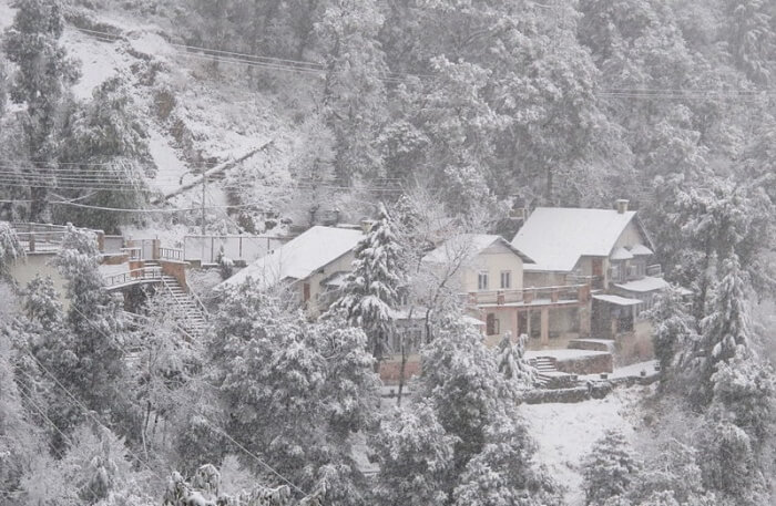 Dalhousie