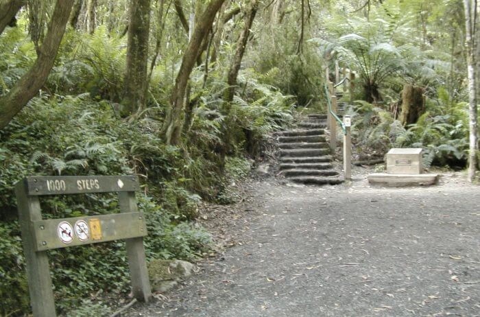 Dandenong-Ranges-National-Park-1000-Steps