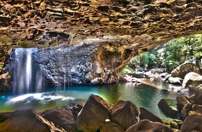 Gold Coast Explore Flora & Fauna