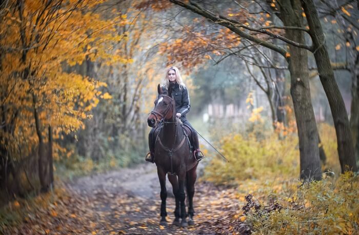 Gold Coast Horse Riding