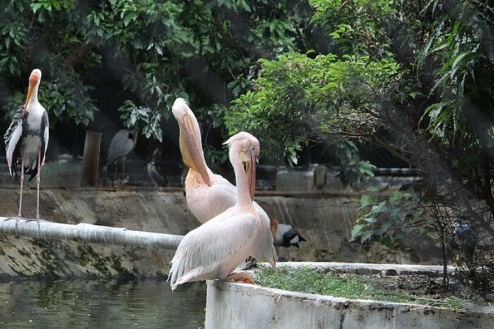 two birds sitting in the national park