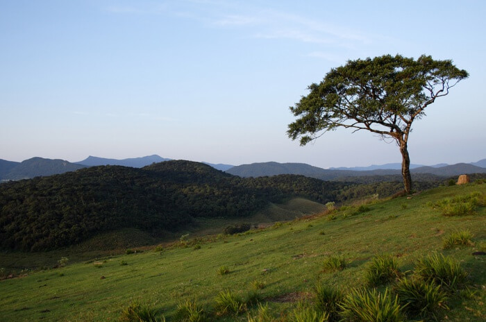 Horton Plains