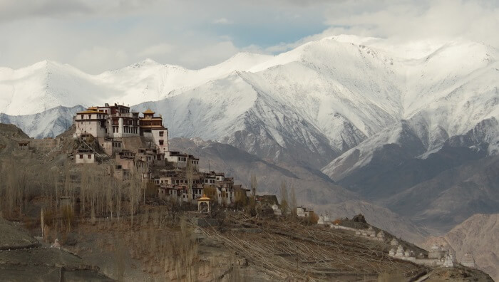 matho in winter