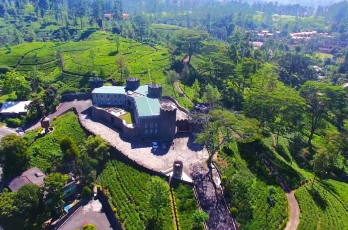 Mlesna Tea Castle