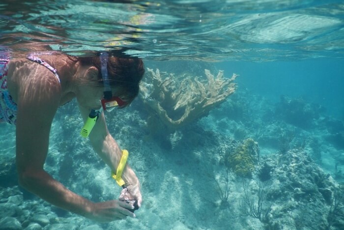 Nisida Reef