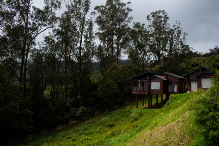 Ooty Honeymoon