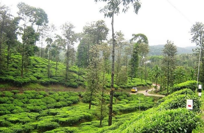 Amazing Nature view