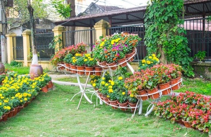 Rock Garden