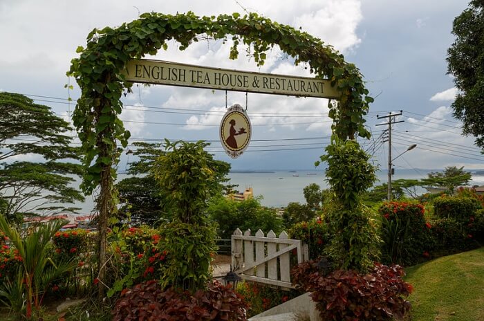 Sabah Tea Garden