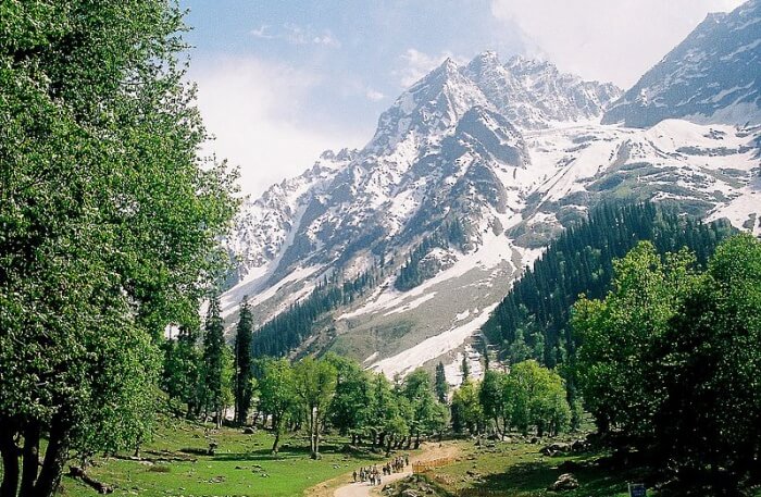 Sonamarg View