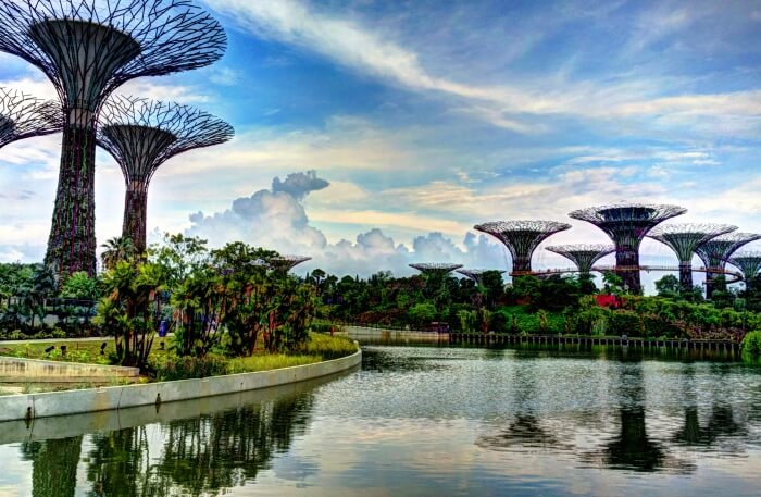 Supertree Grove