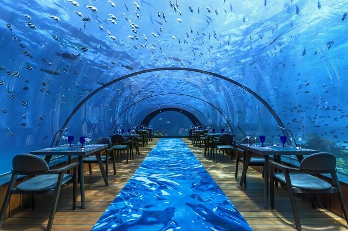 The Hurawalhi Island Resort in Maldives