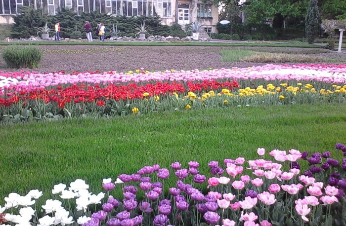 Visit The Lush Craiova Botanical Garden