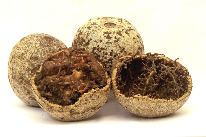 Wood Apple