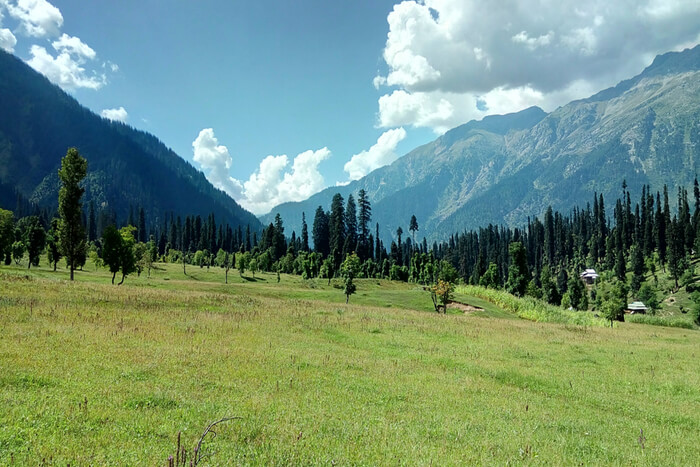 kashmir tourist places in june