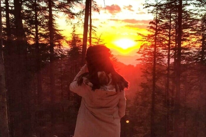 soni cover image travelogue
