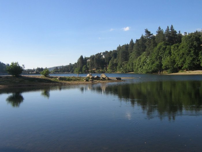 A view of Gregory lake